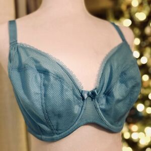 Chantelle Blue Underwire Bra with Molded Cups